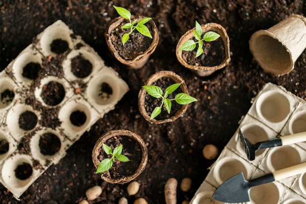 Top view gardening tools and flower pot