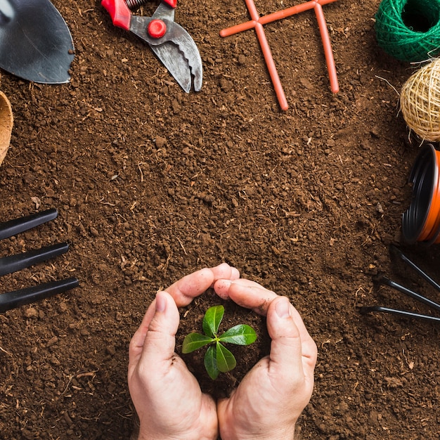 Top view of gardening tools and gardener planting