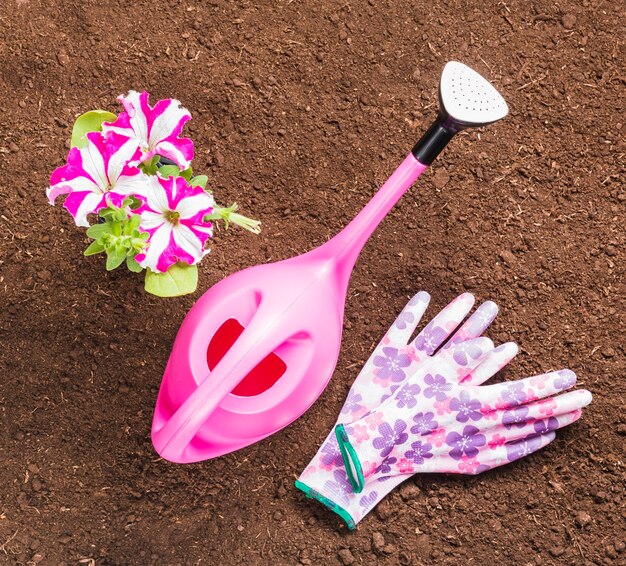 Top view of gardening tools on the ground