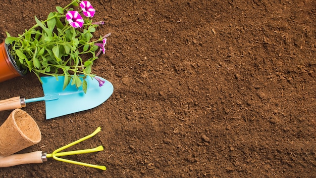 Top view of gardening tools on the ground