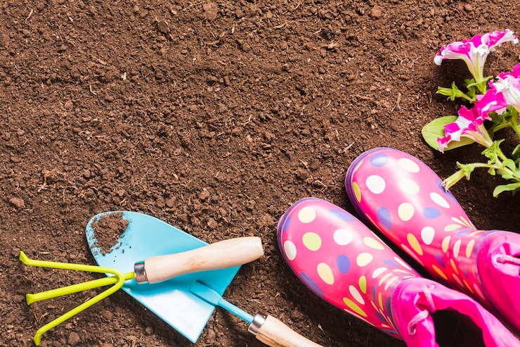Free Photo top view of gardening tools on the ground