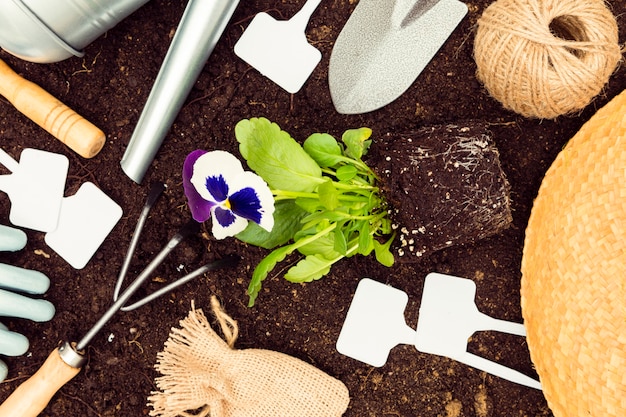 Top view gardening tools and plants on soil