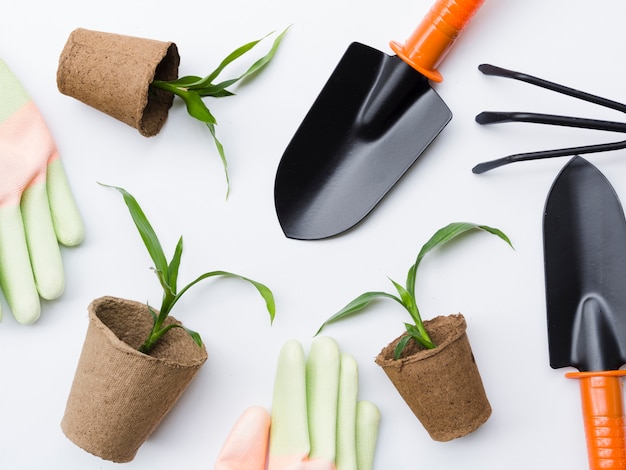 上面図の園芸工具および植物