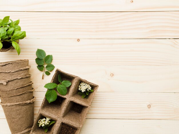 上面図の園芸工具および植物