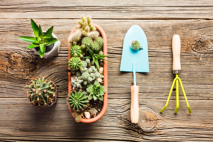 Free Photo top view of gardening tools on the wooden floor