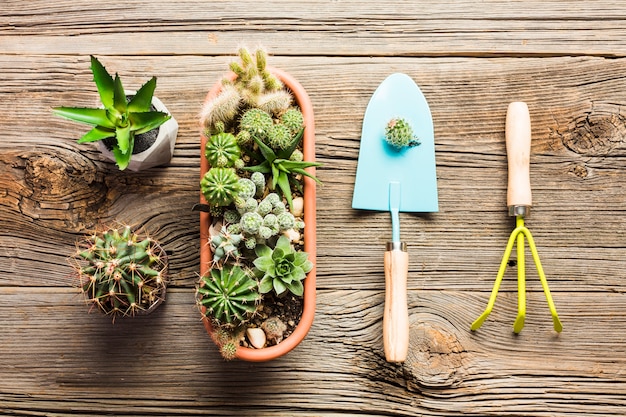 Top view of gardening tools on the wooden floor