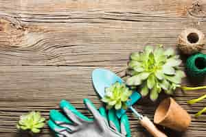 Free photo top view of gardening tools on the wooden floor