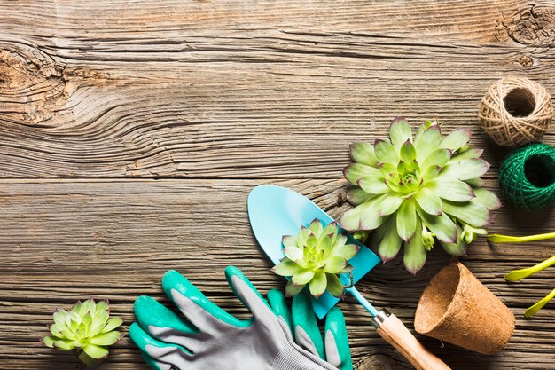 Top view of gardening tools on the wooden floor