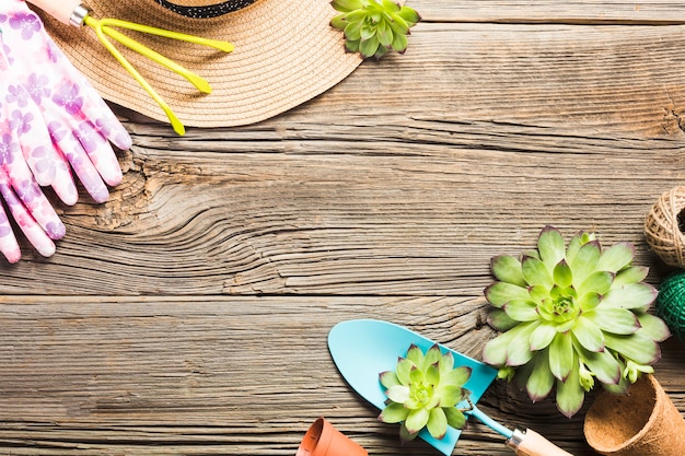 Top view of gardening tools on the wooden floor