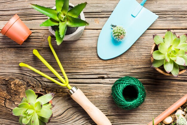 Top view of gardening tools on the wooden floor