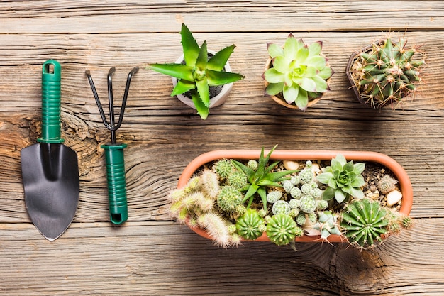 Top view of gardening tools on the wooden floor