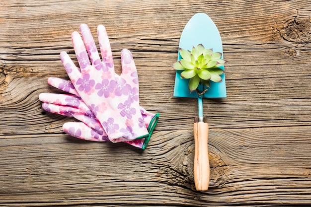 Top view of gardening tools on the wooden floor