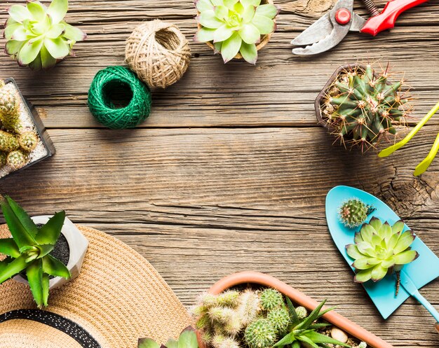 Top view of gardening tools on the wooden floor