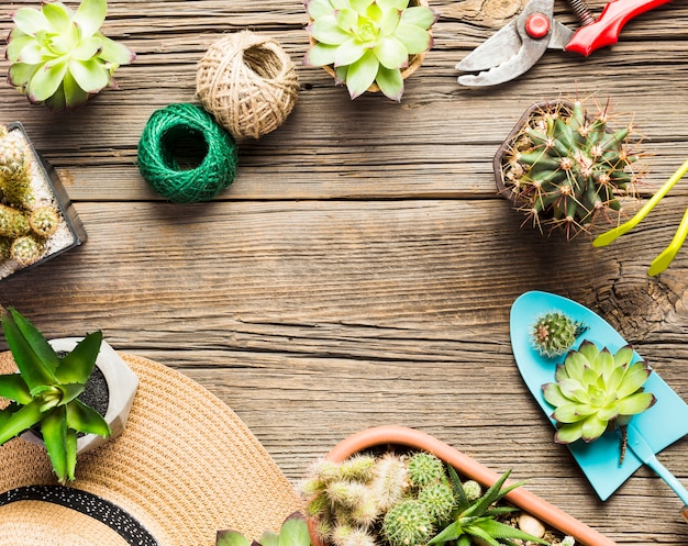 Top view of gardening tools on the wooden floor