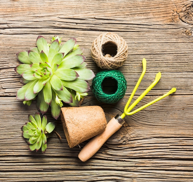 Top view of gardening tools on the wooden floor