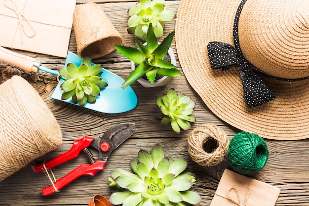 Top view of gardening tools on the wooden floor