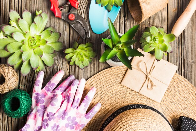 Top view of gardening tools on the wooden floor