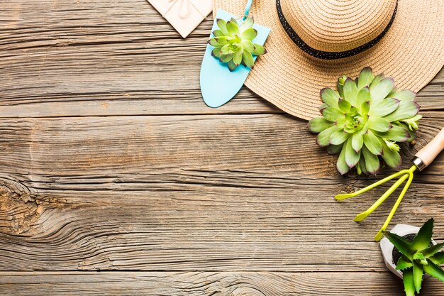 Top view of gardening tools on the wooden floor