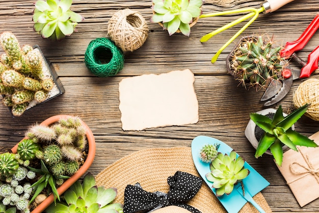 Top view of gardening tools on the wooden floor