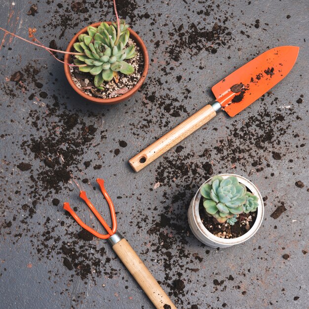 Top view gardening tools