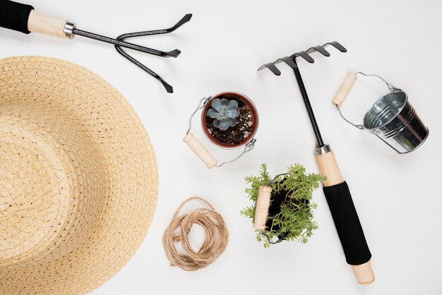 Top view of gardening tools