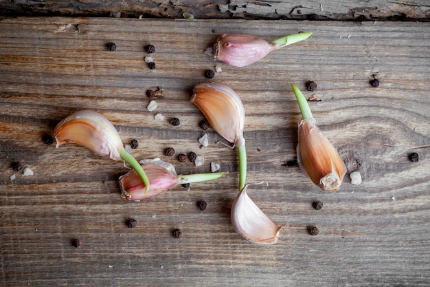 Top view garlic on dark wooden background. horizontal