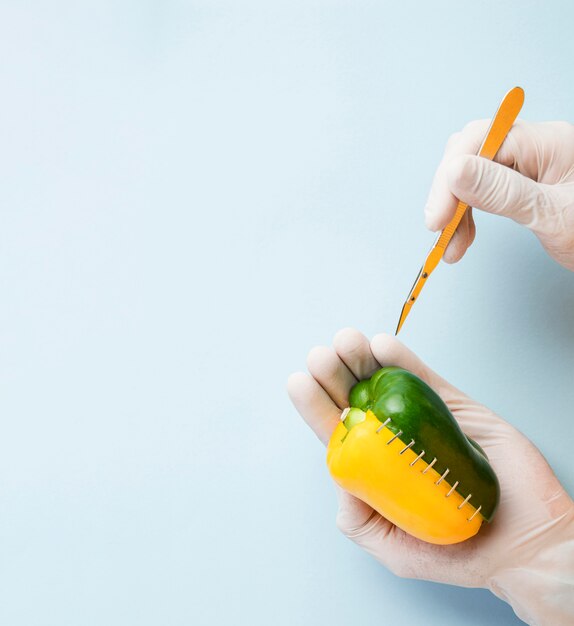 Top view genetically modified sweet pepper