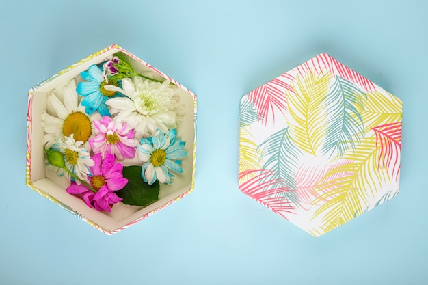 Top view of a gift box filled with colorful chrysanthemum flowers with daisy on blue background