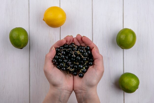 Top view of girl holds in her palms black currant with lime on a white surface