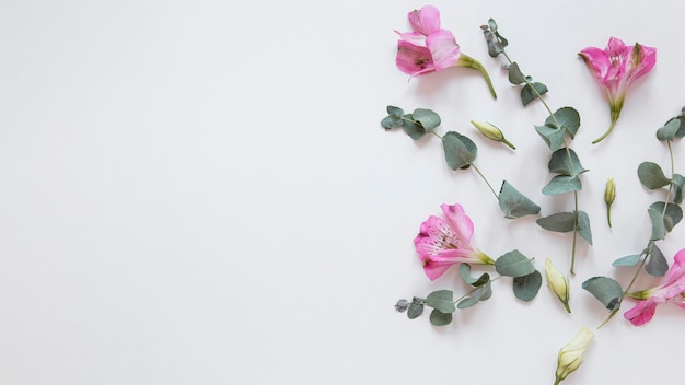 Top view of gorgeous flowers arrangement