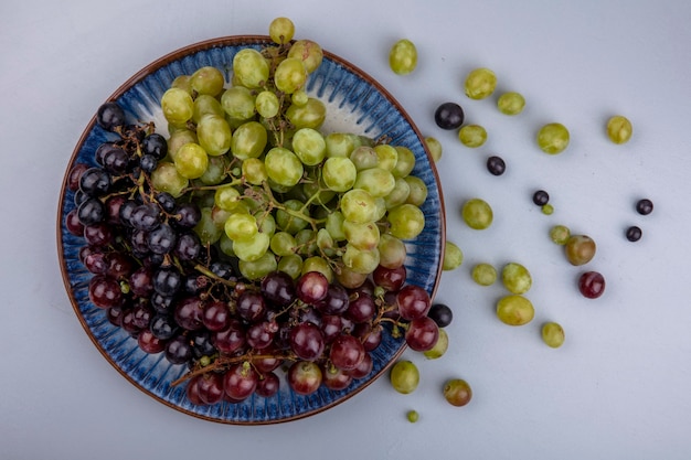 Top view of grapes in plate and grape berries on gray background