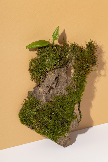 Top view of grass growing on earth podium