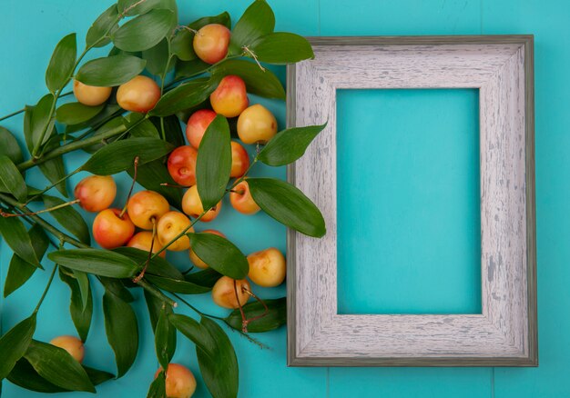 Top view of gray frame with white sweet cherries with leaf branches on a turquoise surface
