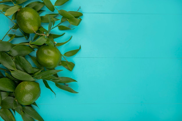 Free photo top view of green fresh lemon with leaves on blue surface