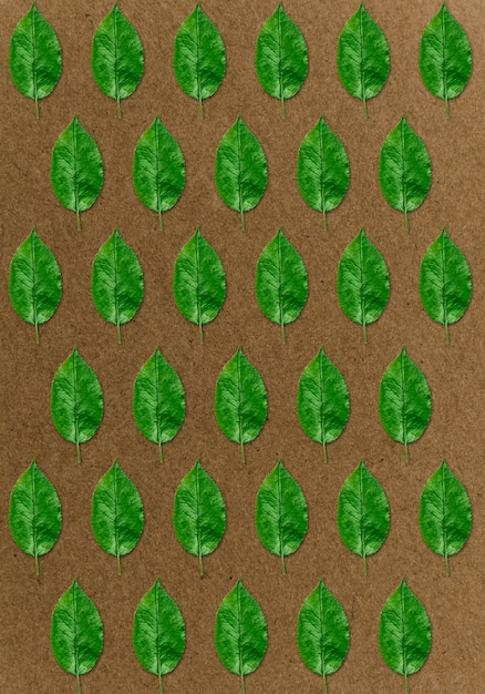 Free photo top view green leaves arrangement