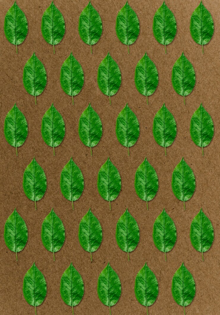 Free Photo top view green leaves arrangement