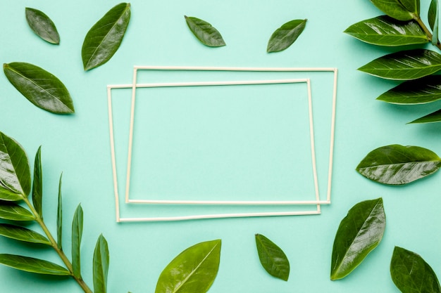 Free photo top view green leaves with frames
