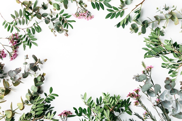 Top view of green leaves