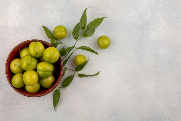 Top view of green plums in bowl with leaves on white background with copy space