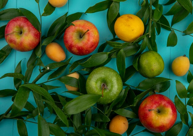 Top view of green and red apples with leaves lemon and apricots on a light blue surface