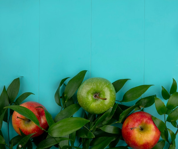 Free photo top view of green and red apples with leaves on a light blue surface