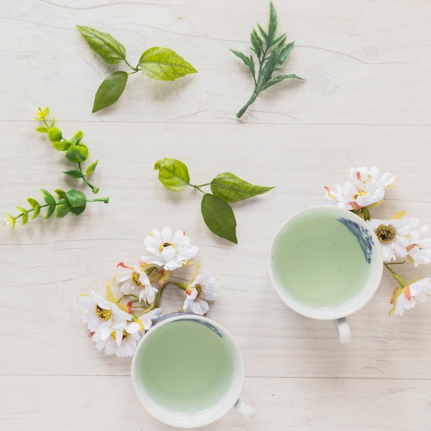 Top view of green tea in cups with leaves and fresh flowers