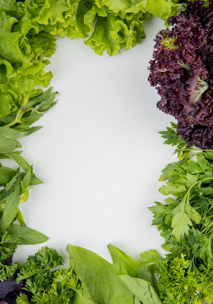 Top view of green vegetables as coriander mint lettuce basil on white with copy space