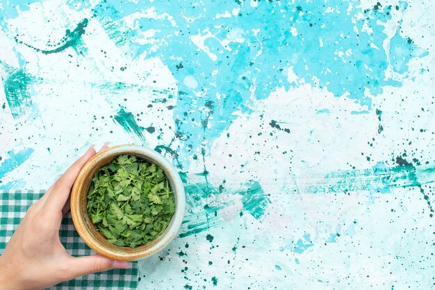 top view of greens inside bowl on blue, food meal ingredient green