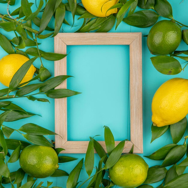 Top view of gresh green and yellow lemons with leaves on blue surface