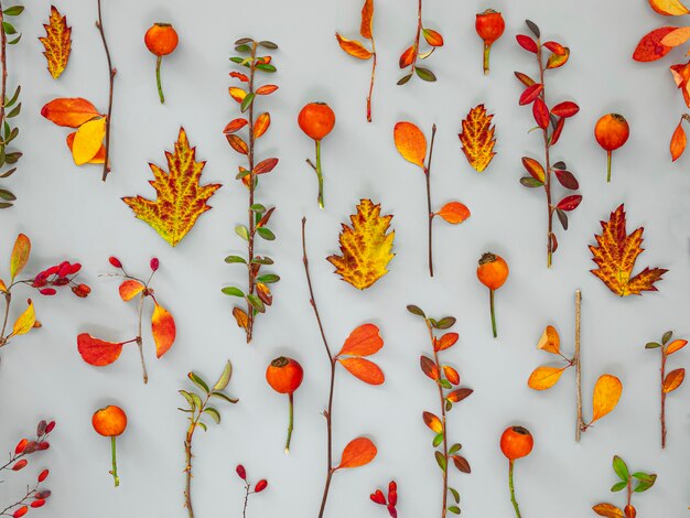 Top view group of leaves and flowers