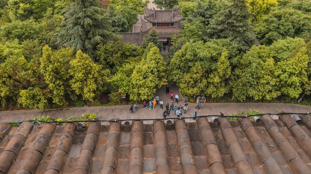 Top view of group of people in front of house in forest