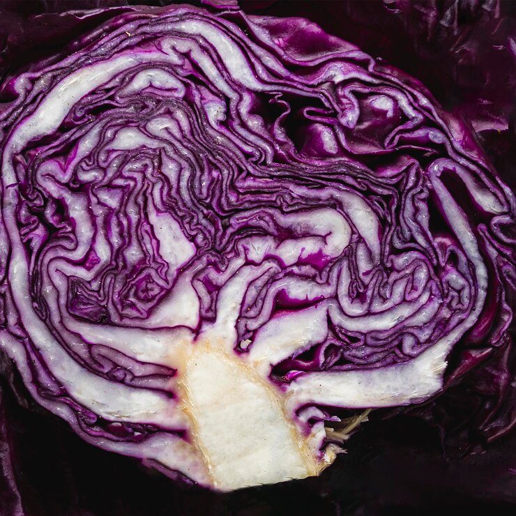 Free Photo top view half of red cabbage