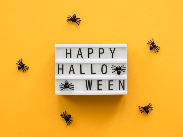 Top view halloween concept with greeting and spiders