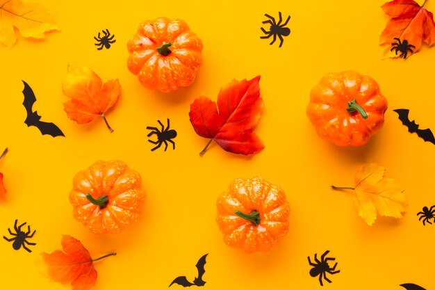 Top view halloween pumpkins with leaves